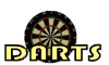 dart019
